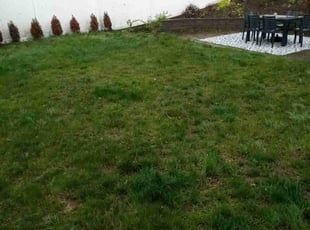 Leaf Removal by Albert Brown for Trang v. in Weymouth, MA