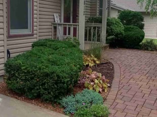 Bush Trimming by Jeremiah Ripple for Nathan H. in Burnsville, MN