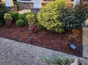 Weeding by Jason Reyes for Haley B. in Dallas, TX