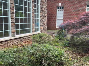 Bush Trimming by John Koonce for Hubert R. in Moore, SC