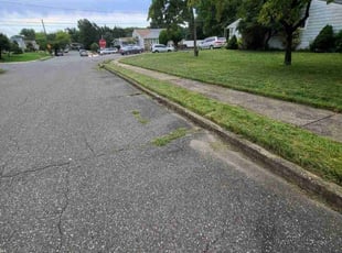 Diane J.'s Lawn Mowing service result