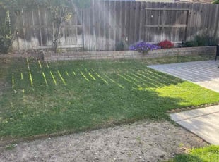 Andrew M.'s Yard Cutting service result