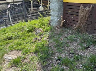 Cleanups by Tim Kirkpatrick for Jalen L. in Kansas City, MO