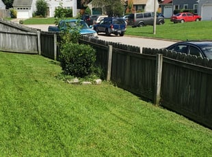 Bush Trimming by Marcus L Cutler for Frances R. in Virginia Beach, VA