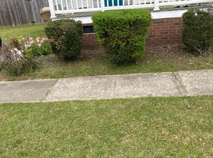 Bush Trimming by Billy Bryant for Debra L. in Clayton, NC