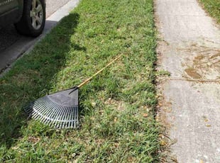 Leaf Removal by Melecio Rivera for Kerri P. in Corpus Christi, TX