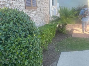 Kelvin G.'s Bush Trimming service result