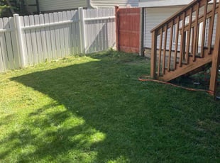 David T.'s Lawn Care service result