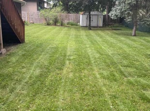 Ginnie D.'s Lawn Care service result