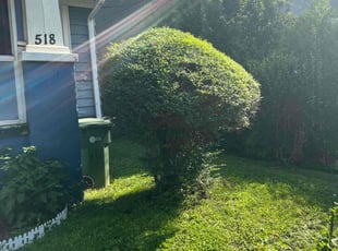 Bush Trimming by Deangelo Langford for Dietrice K. in Atlanta, GA