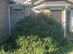 Bush Trimming by Julian Sanchez for Clark F. in Duncanville, TX