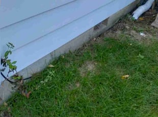 Weeding by Franklin McCarter for Robbie J. in Noblesville, IN