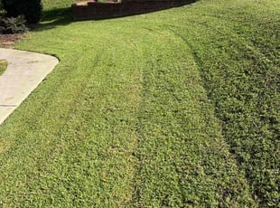sonia o.'s Lawn Maintenance service result