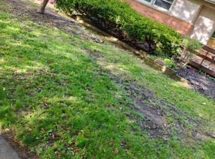 Leaf Removal by Carnell Garrett for William C. in Pontiac, MI