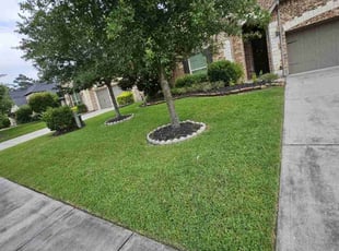 Tara F.'s Yard Cutting service result