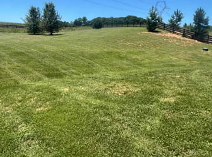 Joe F.'s Lawn Care service result
