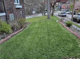 Bart S.'s Lawn Mowing service result