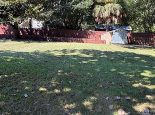 Allesia P.'s Leaf Removal service result