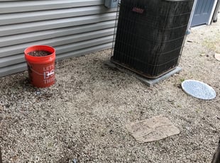 Cleanups by Jose Luis Rosas for Brenton G. in Austin, TX