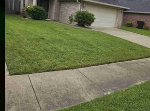 Ether T.'s Lawn Service service result