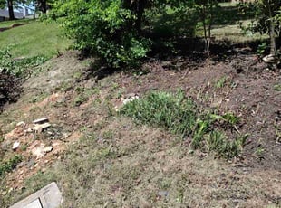 Cleanups by Kris Woodard for John Michael F. in Birmingham, AL