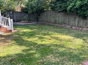 Leaf Removal by Ronan Kelly for John M. in Norfolk, VA