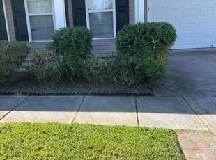 Bush Trimming by Doyle Napper for Jason E. in Whitsett, NC