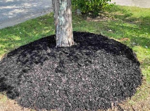 Mulching by Peyton Knight for Rachel M. in Birmingham, AL