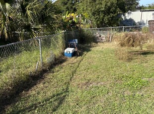 Cleanups by Luis Longa for Brian or Jency M. in Casselberry, FL