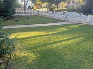 Bruno T.'s Lawn Care service result