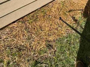 Weeding by Scaroline LLC for David K. in Alpharetta, GA