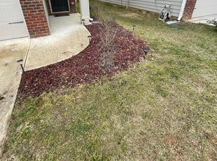Weeding by Trevor Guillory for Jasaun P. in Hampton, GA