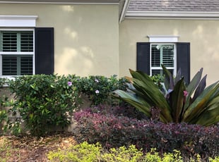 Bush Trimming by Leeandra Terry for Amber W. in Tampa, FL