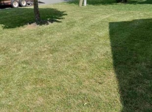 Bush Trimming by Arturo Escamilla for Barry B. in Mooresville, NC