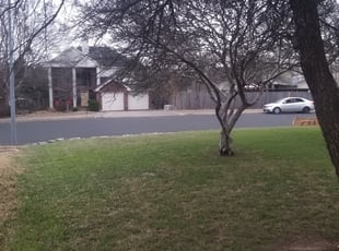 Leaf Removal by Stanley Edwards for Chris C. in Austin, TX