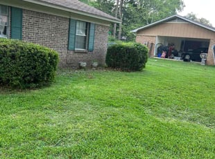 Bush Trimming by Quavion Finley for Haley A. in Pearl, MS