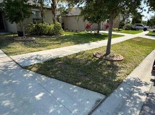 Philip M.'s Lawn Care service result