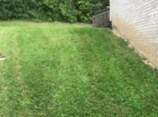 Cleanups by Octavio Rosas for Erika L. in Nashville, TN