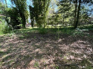 Leaf Removal by Zachary Kasper for Paul H. in Statesville, NC