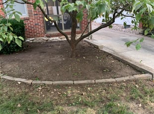 Weeding by John Jackman Jr for Kelly D. in Kansas City, MO