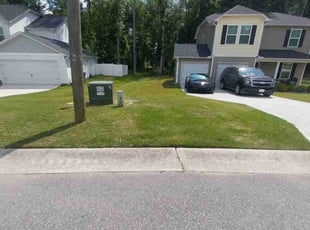 Taylor K.'s Lawn Mowing service result