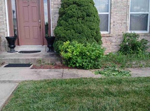 Bush Trimming by Shaun Hurst for Beverly C. in Saint Charles, MO