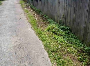 Cleanups by Levernon Phipps lll for Kijahfha M. in Dayton, OH