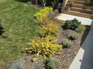 Landscaping by Greg Reyes for Nicole U. in Asheville, NC