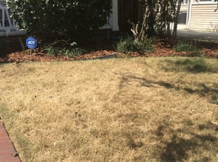 Landscaping by William Chavers for Michael K. in Tampa, FL