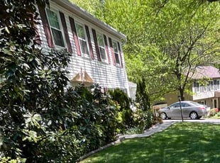 Bush Trimming by Alesandre Duarte for Thanaphon T. in Reston, VA