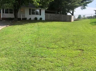Kenneth B.'s Lawn Care service result