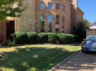 Bush Trimming by Joshua Hensley for CARMEN B. in North Richland Hills, TX