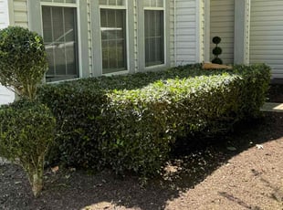 Leaf Removal by Kawan Johnson for Bradley D. in Suffolk, VA