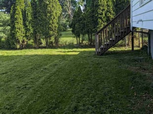 Nia G.'s Lawn Maintenance service result